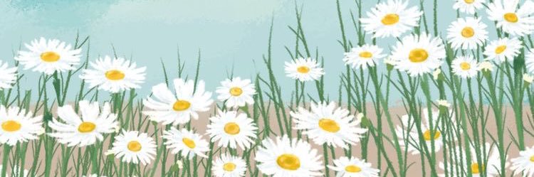aycacerend's profile banner image