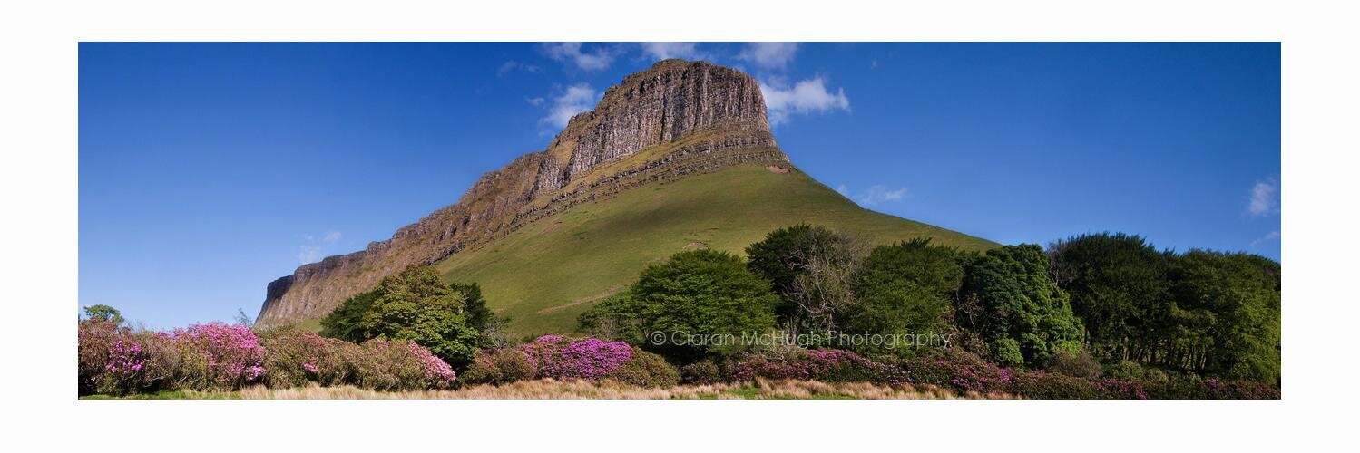 Ireland In Focus banner