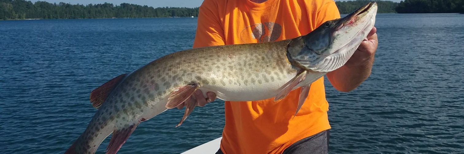 Karl Marxxx 🇷🇺 🇨🇳🔨 banner