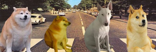 fiddlerboi Profile Banner