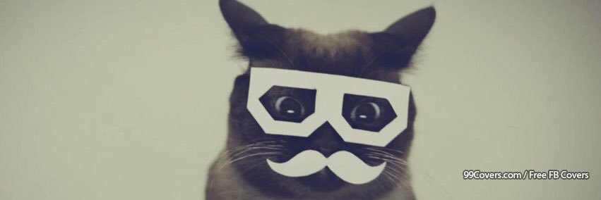 kaylinn__'s profile banner image