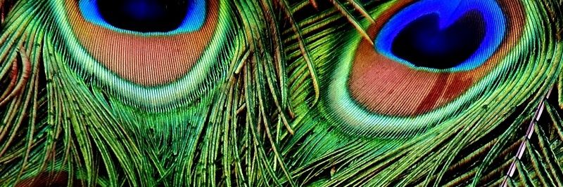 pratish22's profile banner image