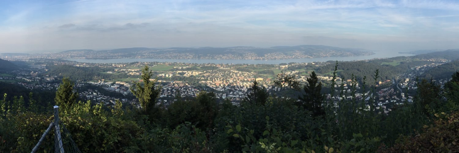 Yamila Trautman banner