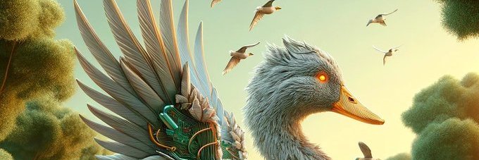 erkan_da's profile banner image