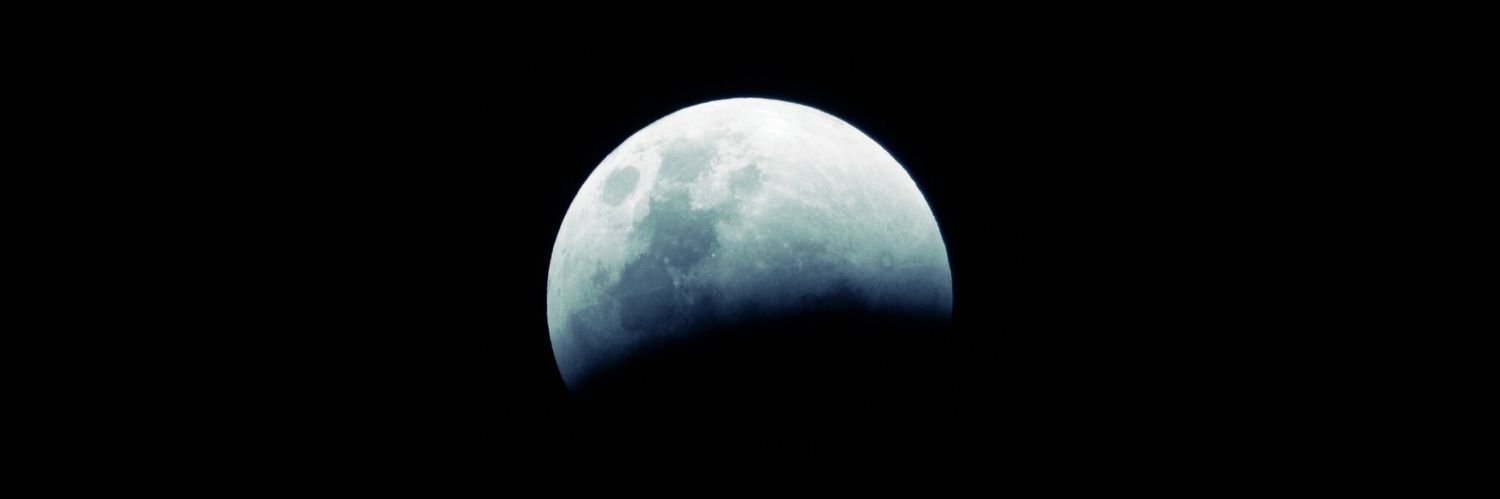 lemuriasea's profile banner image