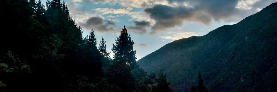 JandyraCJM's profile banner image