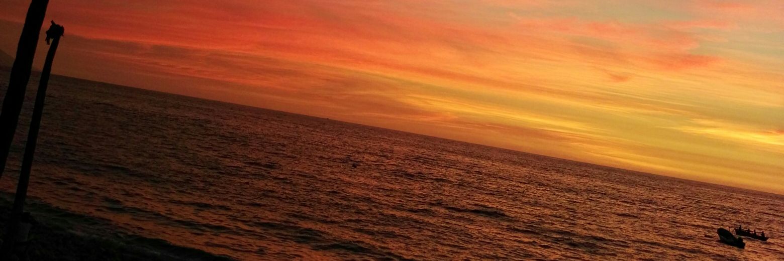 LUFEROMI's profile banner image