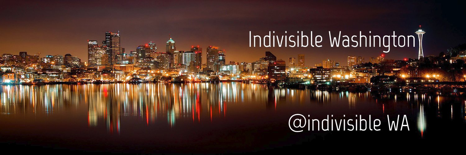 Indivisible WA banner