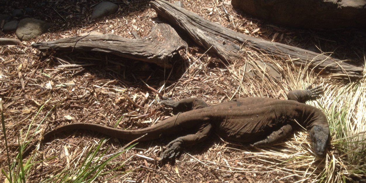 c wrest smith banner