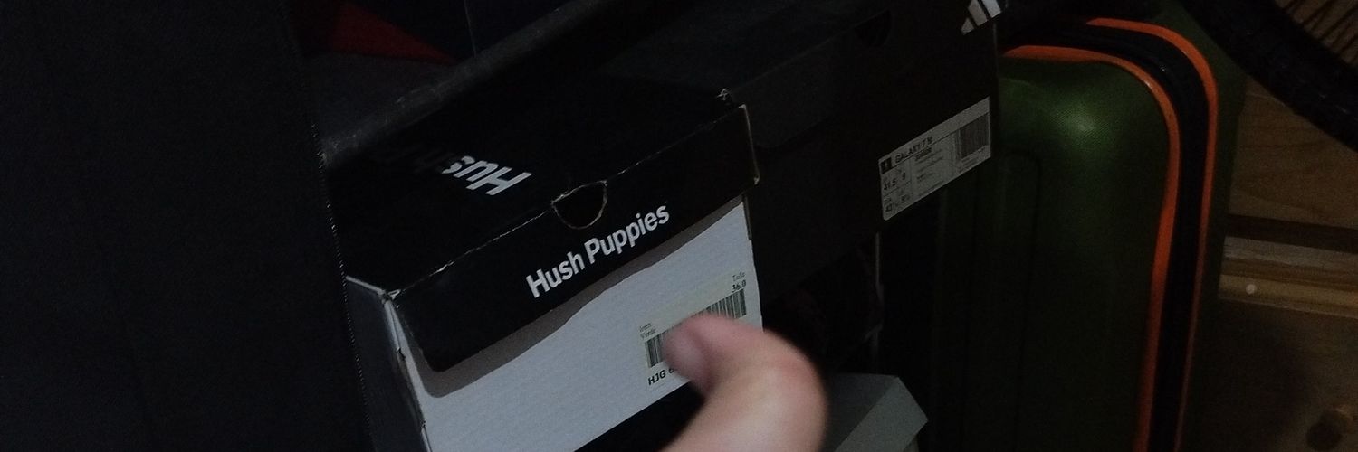 nb 6 fan luna banner