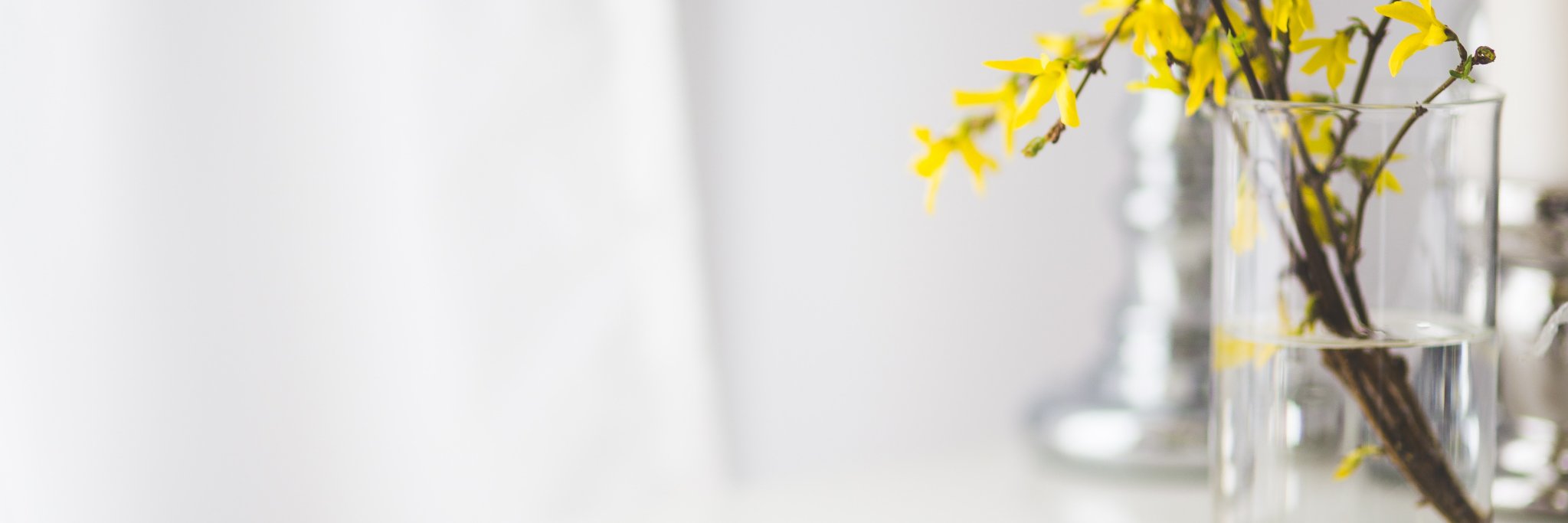 ممد banner