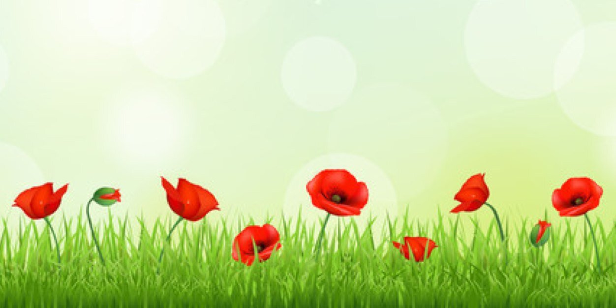 BoothstownBeerF's profile banner image