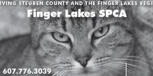 Finger Lakes SPCA banner
