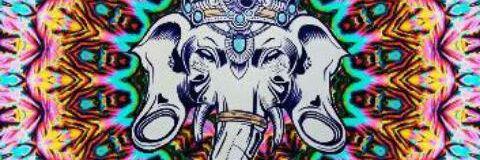 cokesmokers's profile banner image