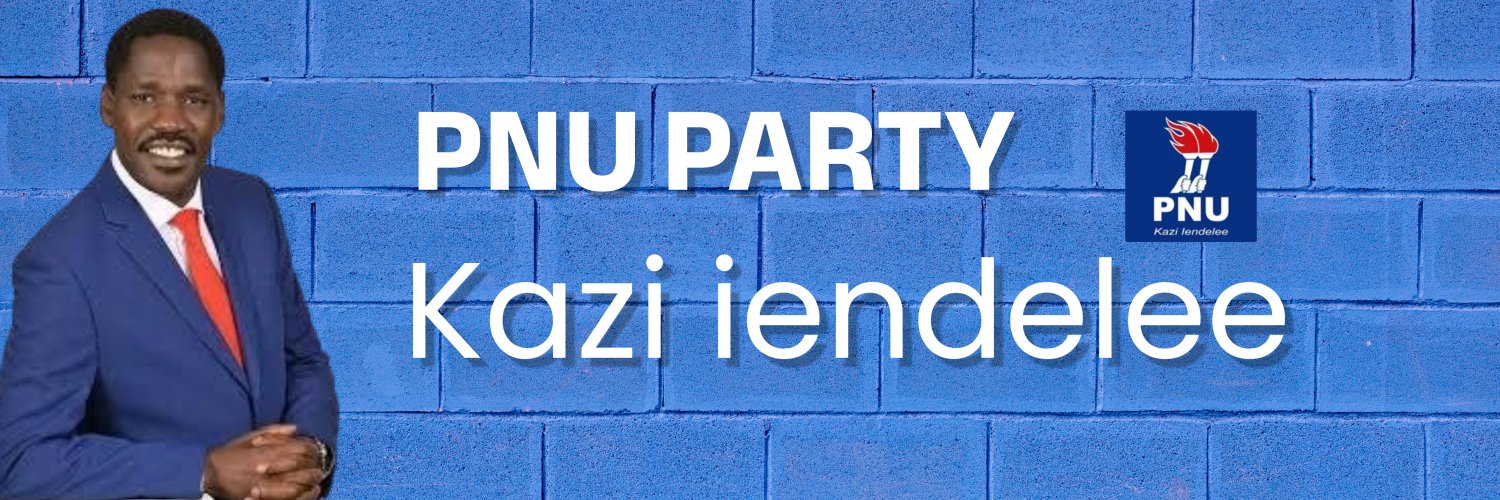 Party of National Unity- PNU banner