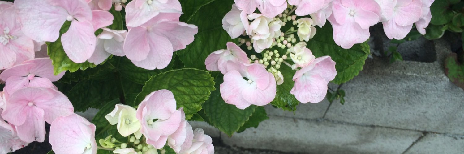 yutogreen54's profile banner image