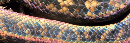 Sherryn_C's profile banner image