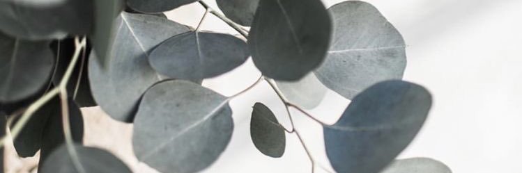 ginahayyy's profile banner image