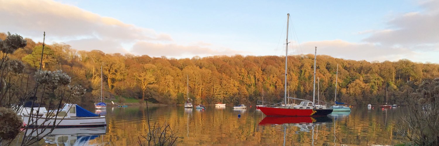 RossForde's profile banner image