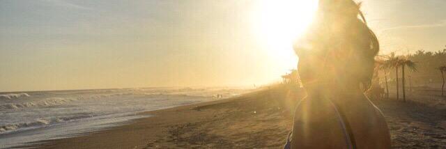 Reginahhol's profile banner image