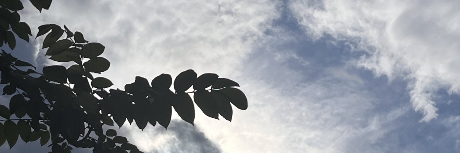 PalauPao's profile banner image