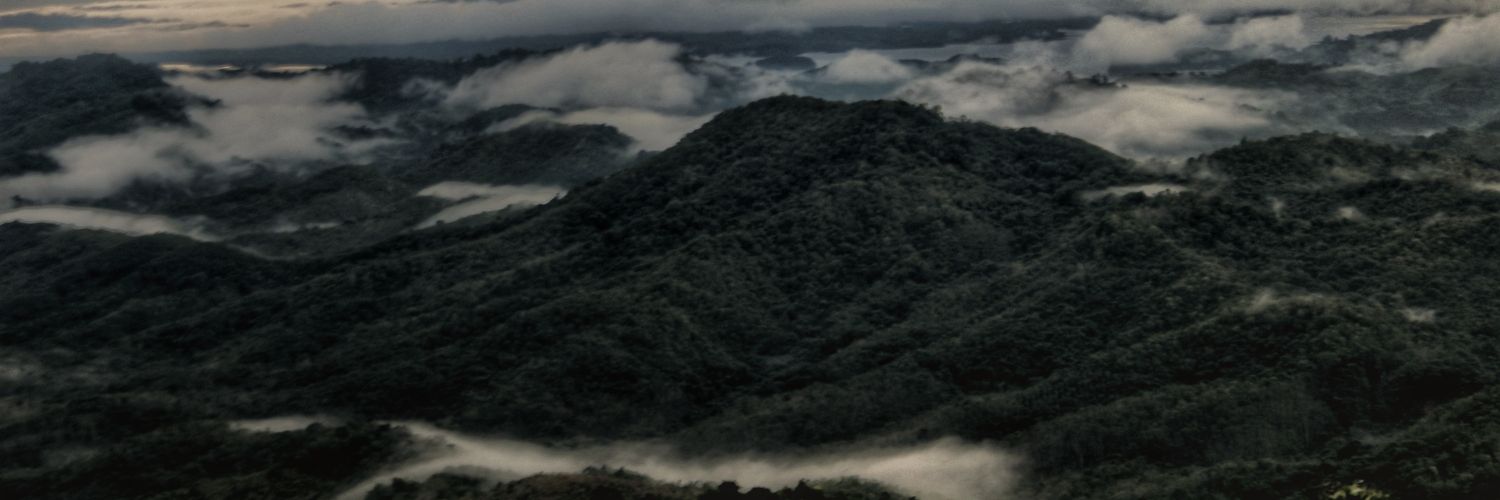 Ilya R. Faisal banner