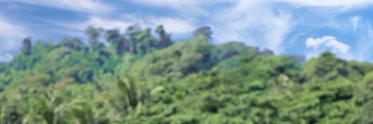 ayiee_lee92's profile banner image