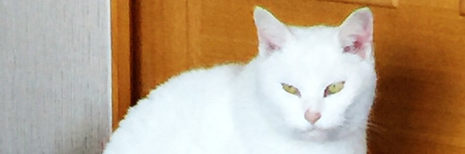 anubis_duke's profile banner image