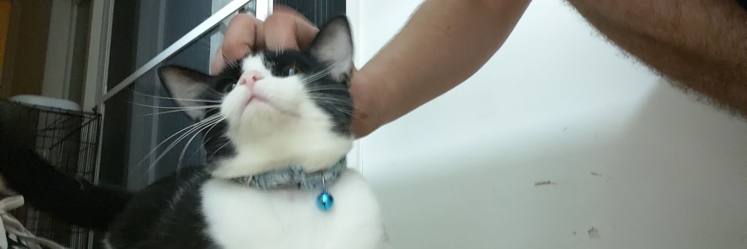 nickbrne's profile banner image