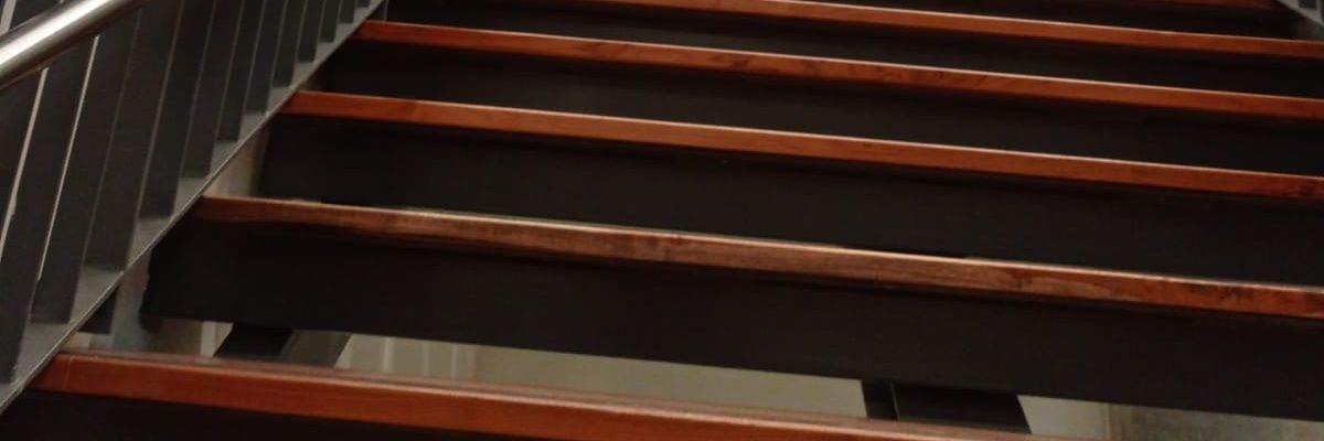 • 🦊 🍑 • banner