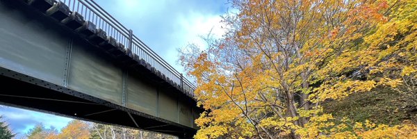 MacNeilDaphne Profile Banner