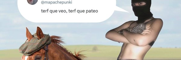 mapachepunki Profile Banner