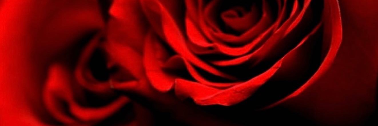 SIR 🥀💫's banner