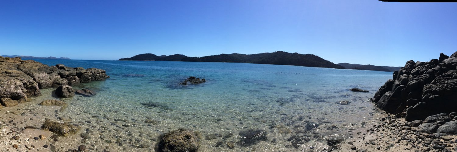 Bosko Milekic 🌶 banner