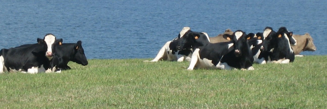 André Le Gall banner