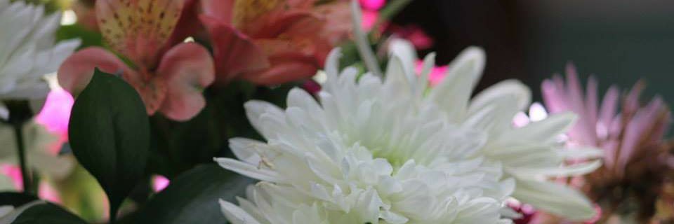 Reenhart2u's profile banner image