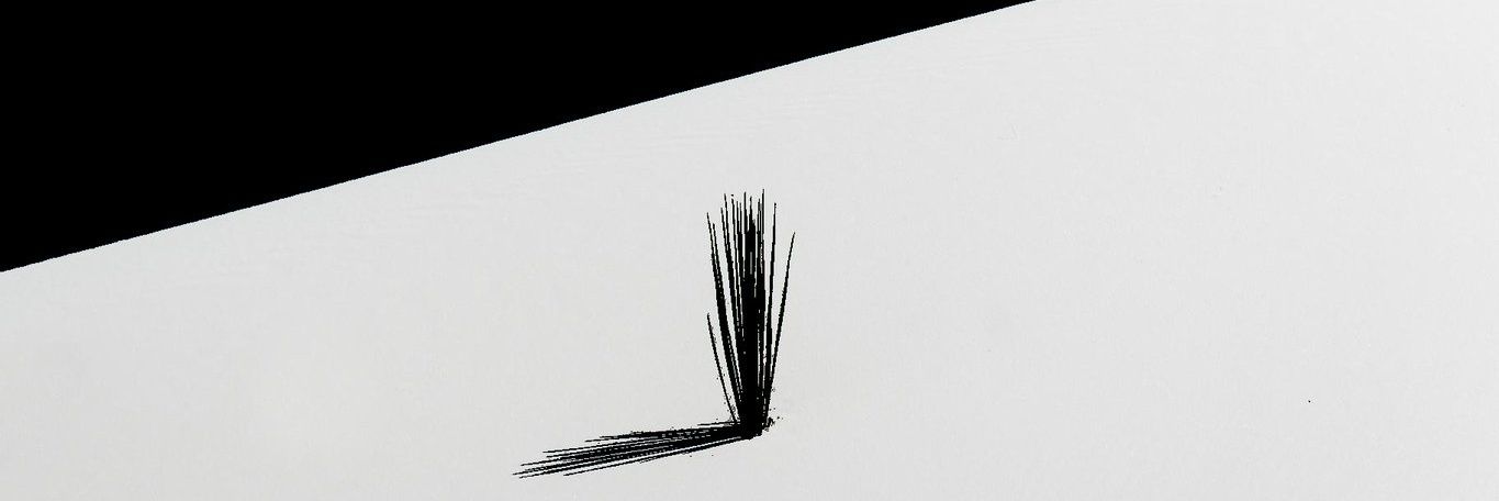 frstewn_'s profile banner image