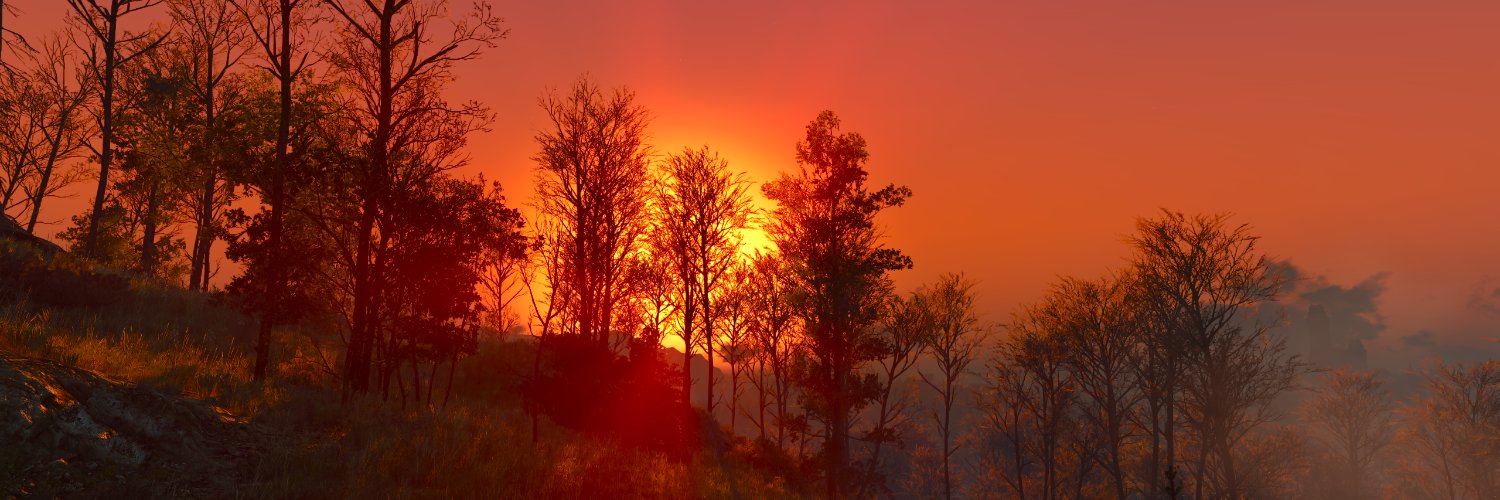 AuthCowpoke's profile banner image