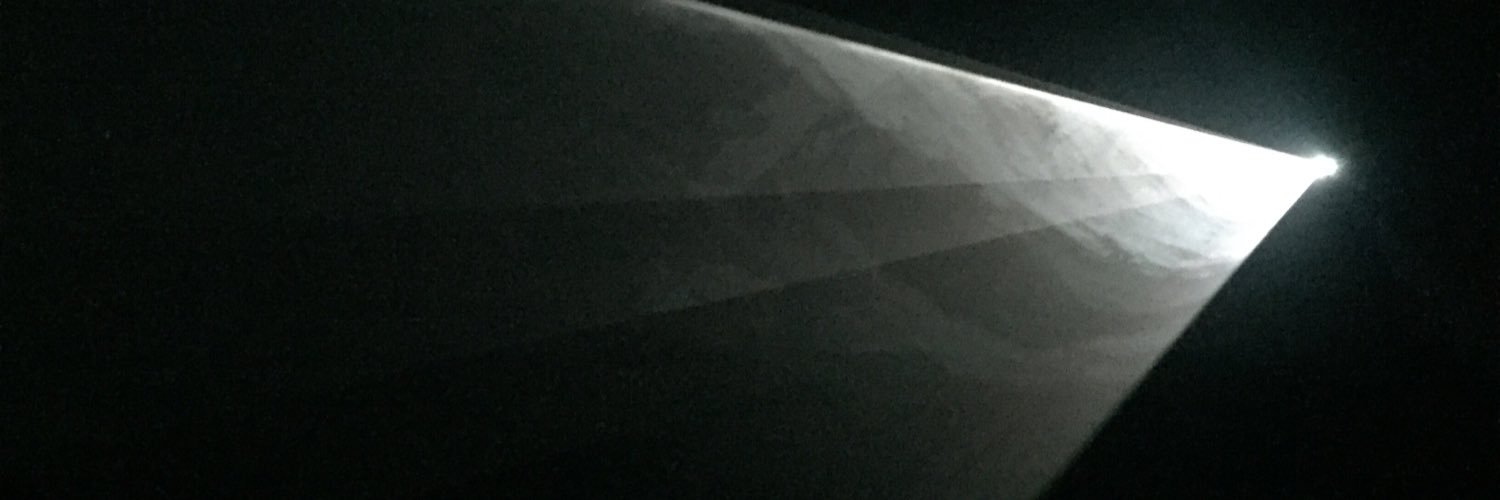 carolpinta's profile banner image
