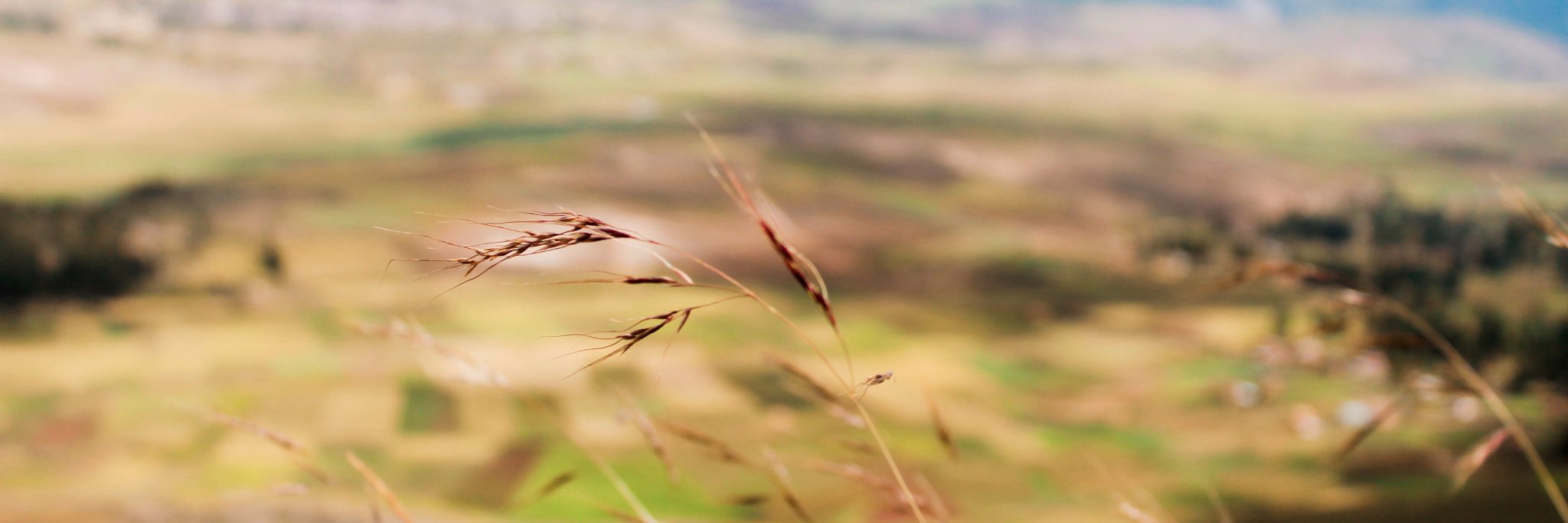 ruls5's profile banner image