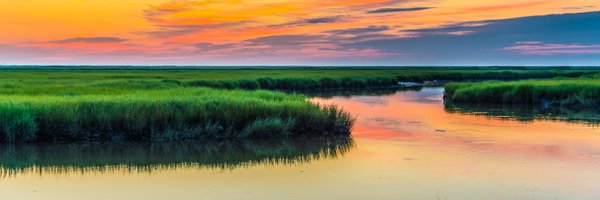 SenLBR Profile Banner