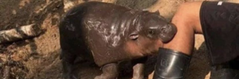 Speed 2 and the End Times banner