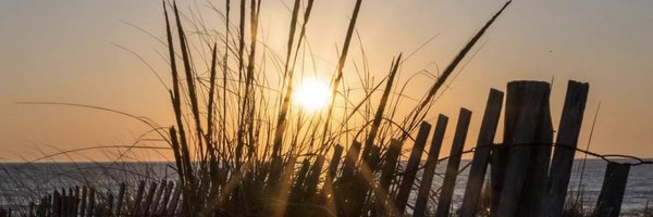 dzyskowski Profile Banner