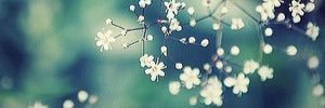 harrietchalk92's profile banner image