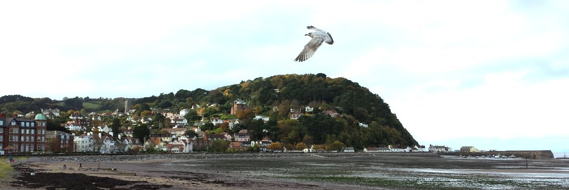 Minehead SocialGroup banner