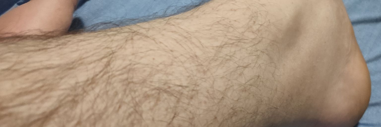 pigbearbr's profile banner image