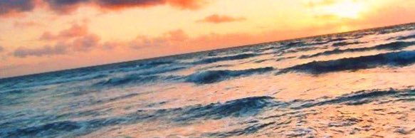 Ani081998's profile banner image