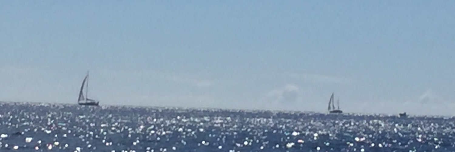 Lene Trollnes banner