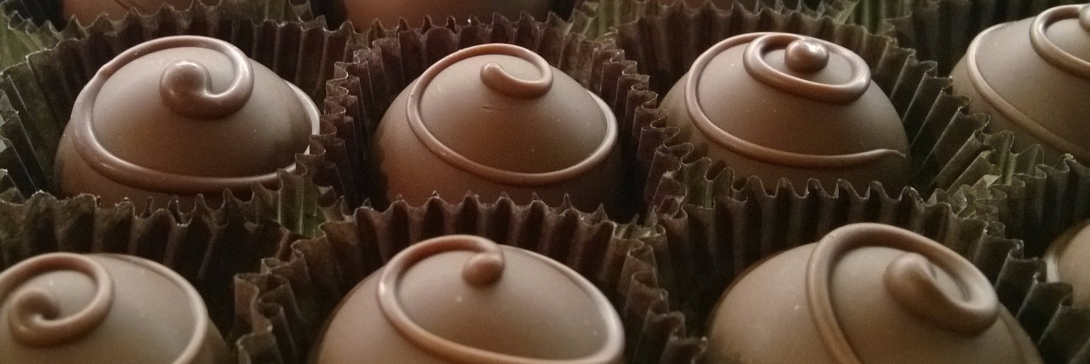 StopThatSquirrel banner