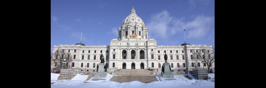 WatchYourRepsMN banner